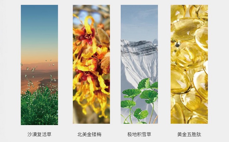 QQ截图20190703174001.jpg