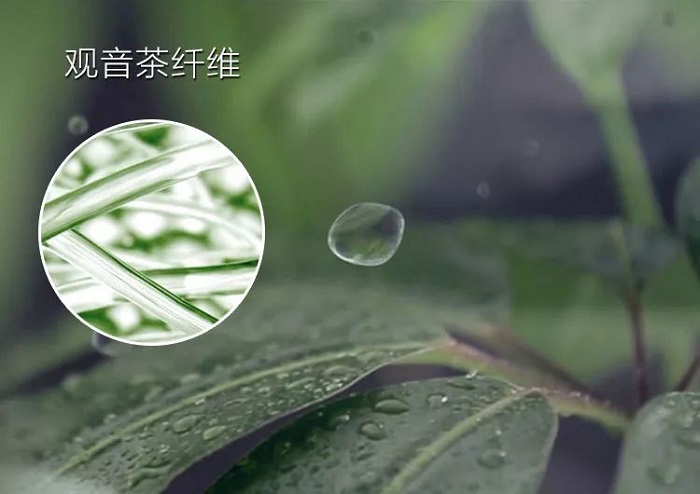 多元修复透肌膜 多元修复透肌膜
