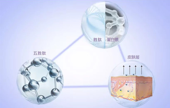 什么眼膜好用?一款好用的眼膜推荐给你 什么眼膜好用?一款好用的眼膜推荐给你